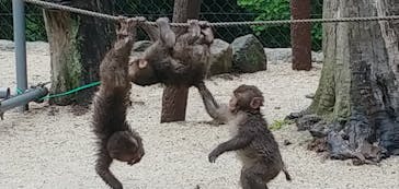 大分マリーンパレス水族館 「うみたまご」に投稿された画像（2023/4/29）