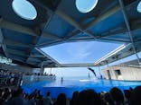 上越市立水族博物館 うみがたりに投稿された画像（2023/4/29）