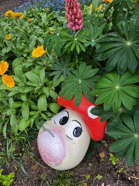 日本モンキーパークに投稿された画像（2023/4/29）