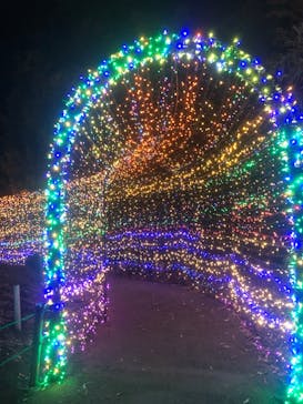 下田海中水族館に投稿された画像（2023/4/29）