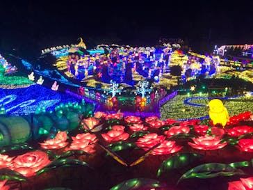 下田海中水族館に投稿された画像（2023/4/29）