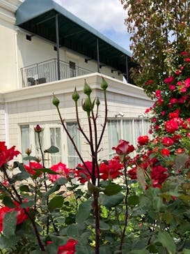 横浜イングリッシュガーデンに投稿された画像（2023/4/29）