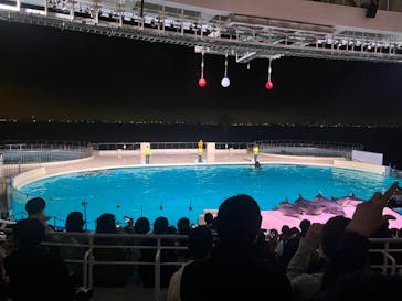 マリンワールド海の中道に投稿された画像（2023/4/29）