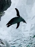 天王寺動物園に投稿された画像（2023/4/29）