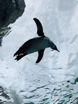 天王寺動物園に投稿された画像（2023/4/29）