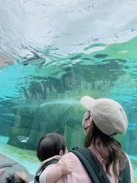 天王寺動物園に投稿された画像（2023/4/29）