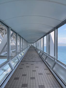 徳島県立 渦の道に投稿された画像（2023/4/29）