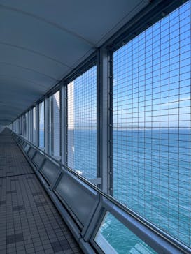 徳島県立 渦の道に投稿された画像（2023/4/29）