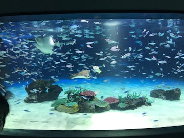 サンシャイン水族館に投稿された画像（2023/4/29）