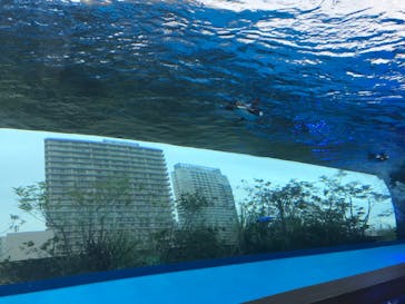 サンシャイン水族館に投稿された画像（2023/4/29）