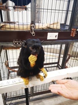 アニタッチみなとみらいに投稿された画像（2023/4/29）