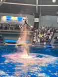 マクセル アクアパーク品川に投稿された画像（2023/4/29）