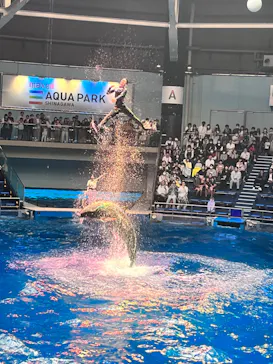 マクセル アクアパーク品川に投稿された画像（2023/4/29）