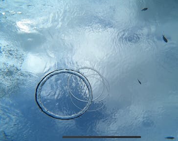 青の洞窟専門店　沖縄ダイビングショップ和に投稿された画像（2023/4/29）