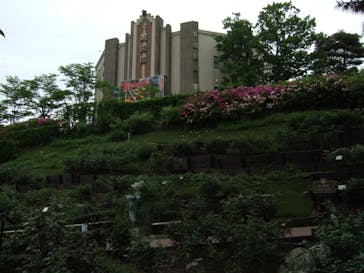 西武園ゆうえんちに投稿された画像（2023/4/29）