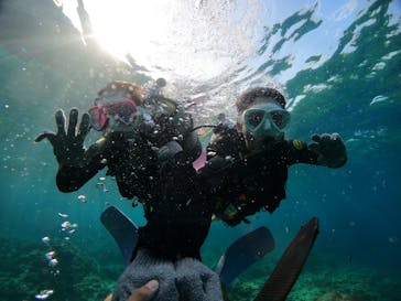 沖縄マリンサービス碧に投稿された画像（2023/4/29）