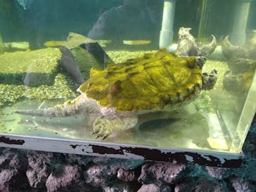 箱根園水族館に投稿された画像（2023/4/29）