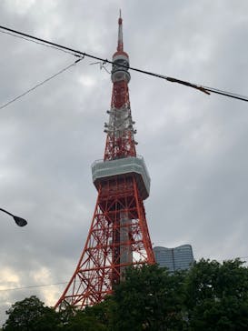 東京タワーに投稿された画像（2023/4/29）