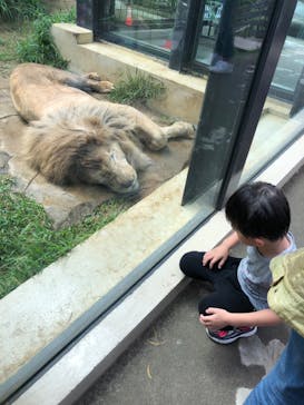 沖縄こどもの国に投稿された画像（2023/4/29）