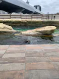 天王寺動物園に投稿された画像（2023/4/30）