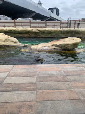 天王寺動物園に投稿された画像（2023/4/30）