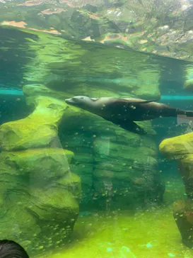 天王寺動物園に投稿された画像（2023/4/30）
