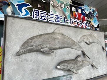 伊豆・三津シーパラダイスに投稿された画像（2023/4/30）