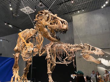 特別展「恐竜博2023」に投稿された画像（2023/4/30）