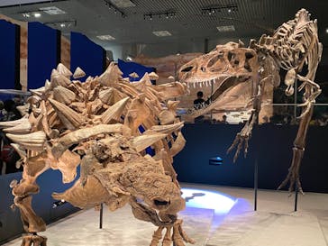 特別展「恐竜博2023」に投稿された画像（2023/4/30）