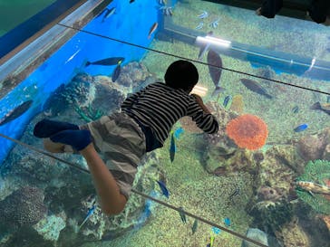 越前松島水族館に投稿された画像（2023/4/30）