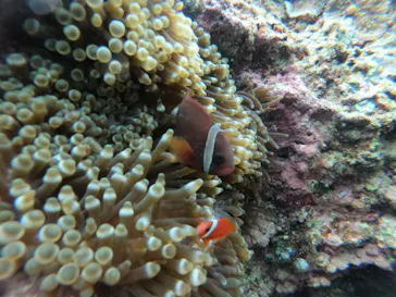 武藤潜水に投稿された画像（2023/4/30）