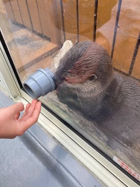 大分マリーンパレス水族館 「うみたまご」に投稿された画像（2023/4/30）