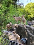 横浜市立金沢動物園に投稿された画像（2023/4/30）