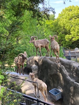 横浜市立金沢動物園に投稿された画像（2023/4/30）