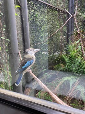 横浜市立金沢動物園に投稿された画像（2023/4/30）
