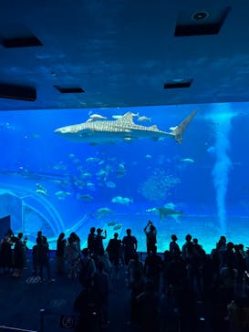 沖縄美ら海水族館に投稿された画像（2023/4/30）