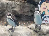 仙台うみの杜水族館に投稿された画像（2023/4/30）