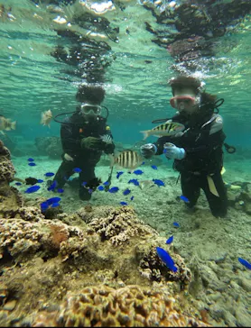 武藤潜水に投稿された画像（2023/4/30）