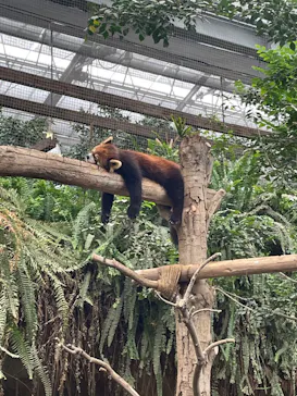 神戸どうぶつ王国に投稿された画像（2023/4/30）