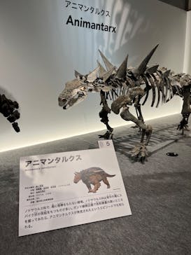 特別展「恐竜博2023」に投稿された画像（2023/4/30）