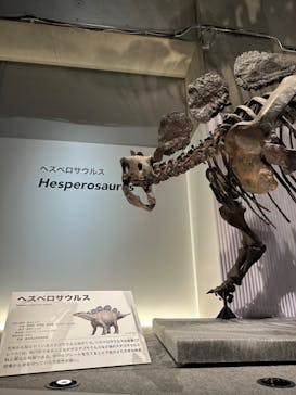 特別展「恐竜博2023」に投稿された画像（2023/4/30）