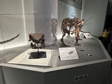 特別展「恐竜博2023」に投稿された画像（2023/4/30）