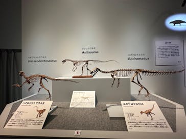 特別展「恐竜博2023」に投稿された画像（2023/4/30）