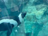 環境水族館アクアマリンふくしまに投稿された画像（2023/4/30）