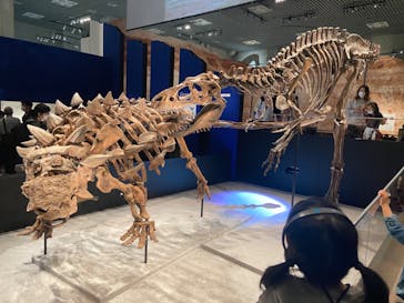 特別展「恐竜博2023」に投稿された画像（2023/4/30）