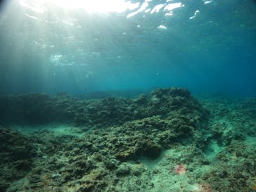 沖縄マリンサービス碧に投稿された画像（2023/4/30）