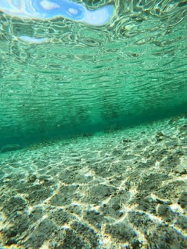 沖縄マリンサービス碧に投稿された画像（2023/4/30）