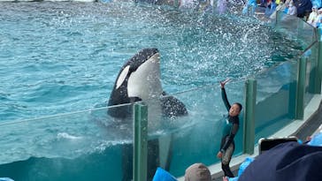 鴨川シーワールドに投稿された画像（2023/4/30）