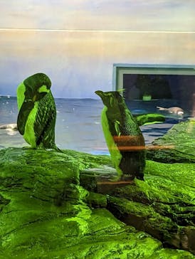 島根県立 しまね海洋館に投稿された画像（2023/4/30）