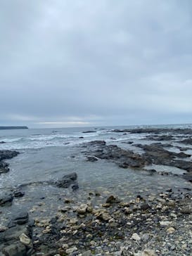 串本海中公園水族館に投稿された画像（2023/4/30）
